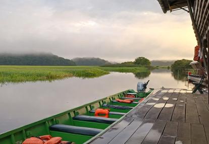 Voyage en Guyane de AM