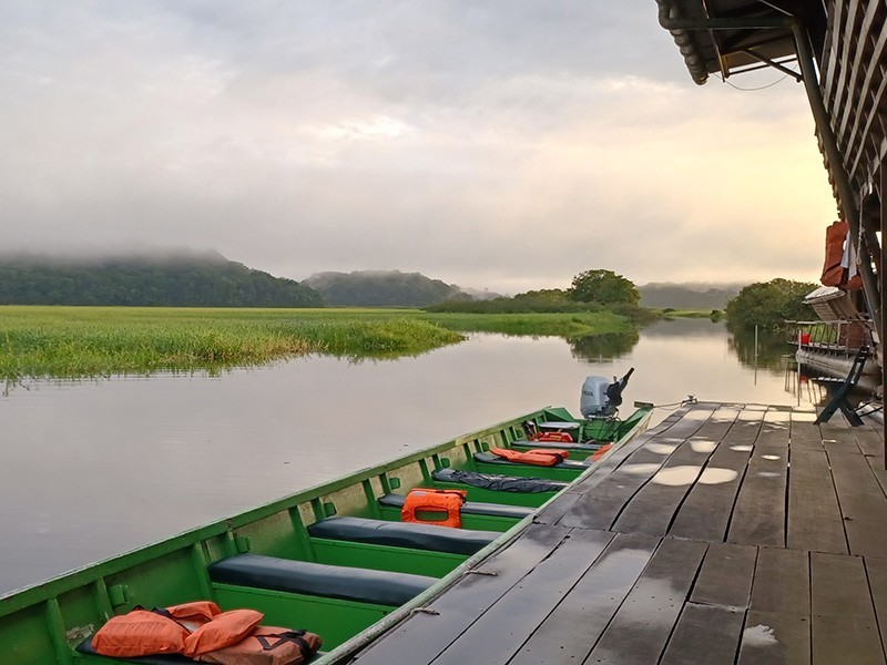 Voyage en Guyane de AM