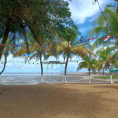 Voyage en Guyane de AM