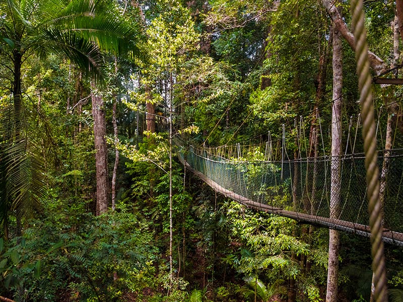 Voyage en Malaisie de Jean-Louis René S.