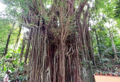 Voyage aux Philippines de Valérie A.