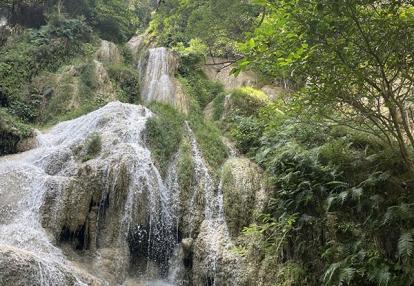 Voyage en Thaïlande de la Famille de Dominique P.