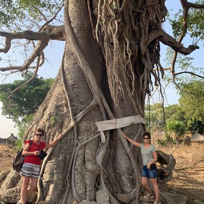 Baobab Voyage au Bénin et Togo de Florence D.