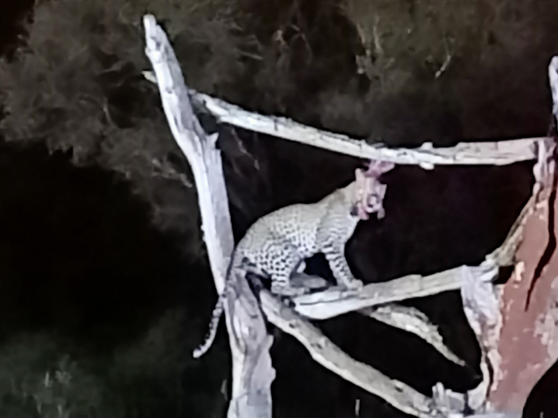 Voyage au Kenya de Michel L.