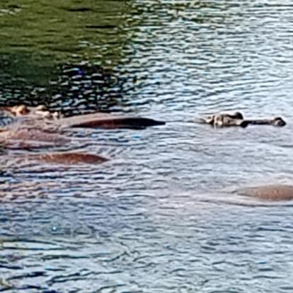 Voyage au Kenya de Michel L.