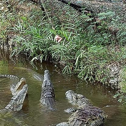Voyage au Kenya de Michel L.