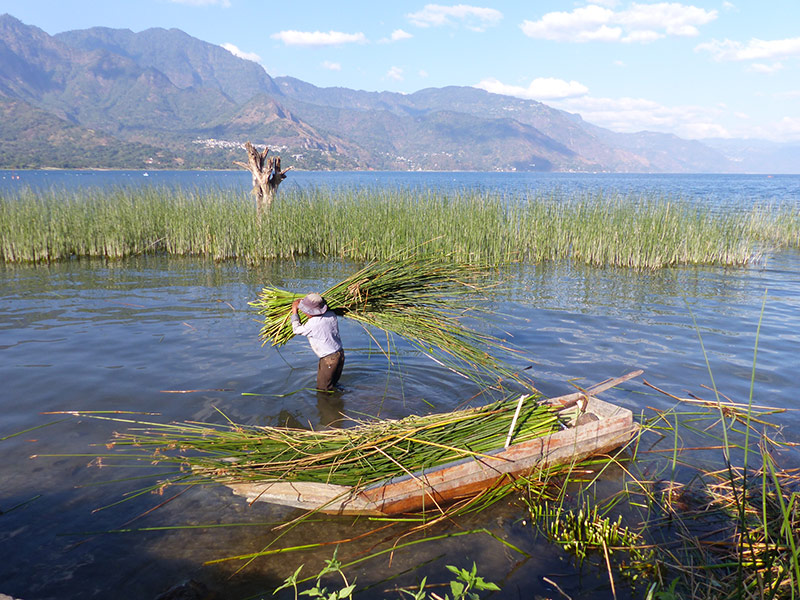 Scène du quotidien au lac Atitlan Voyage au Guatemala de Pierre D.