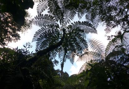 Voyage au Guatemala de Pierre D.