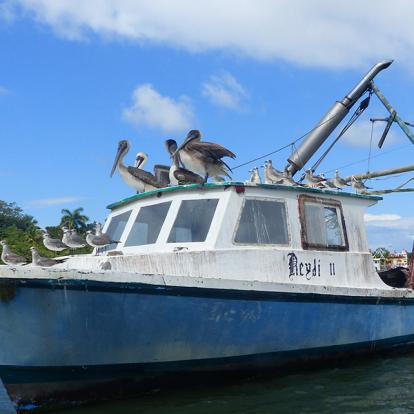 Auberge Aviaire à Livingston Voyage au Guatemala de Pierre D.