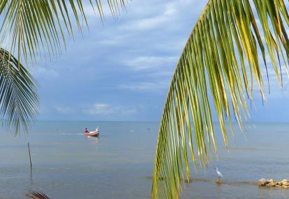 Voyage au Guatemala de Pierre D.