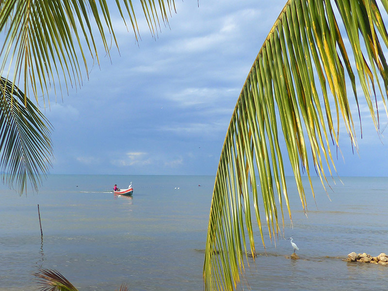 En allant à Playa Blanca Voyage au Guatemala de Pierre D.