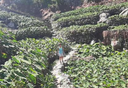 Ribeira do Paul culture d’ignames Voyage au Cap Vert de Luce R.