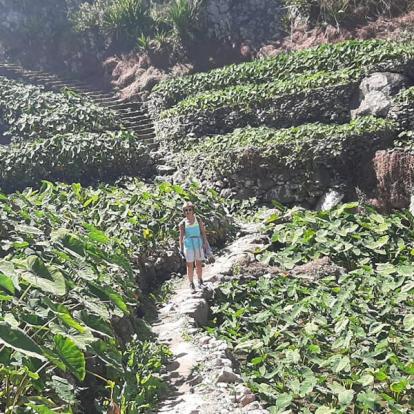 Ribeira Do Paul Culture D’ignames Voyage au Cap Vert de Luce R.