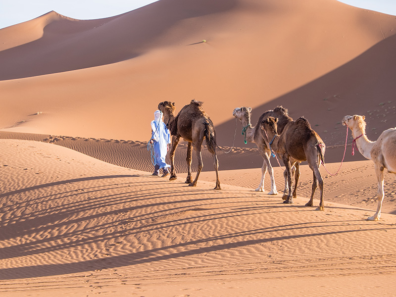 Voyage au Maroc de Bruno et Virginie