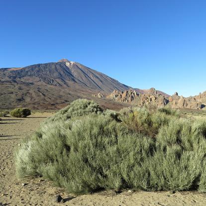 Voyage aux Canaries de Nadeige M.