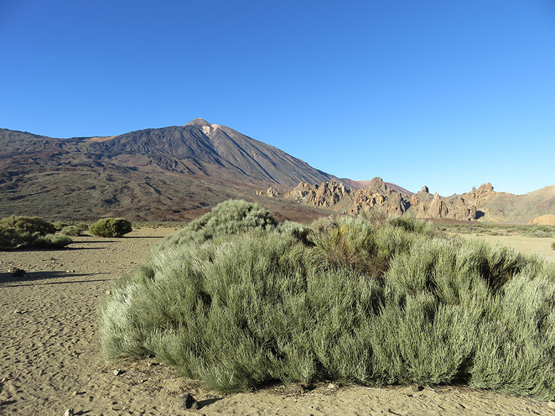 Voyage aux Canaries de Nadeige M.
