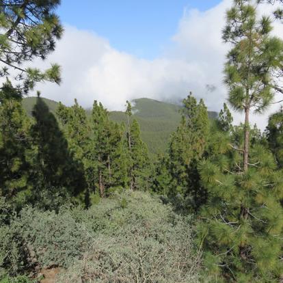 Voyage aux Canaries de Nadeige M.