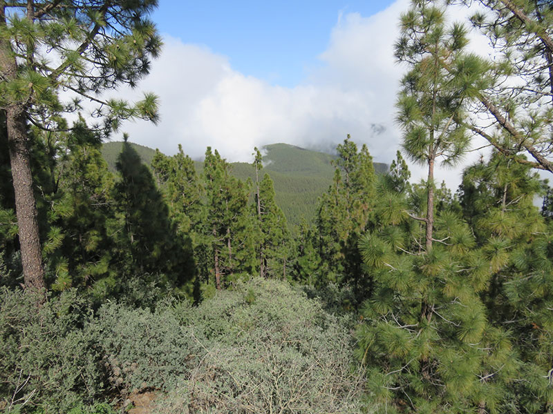 Voyage aux Canaries de Nadeige M.