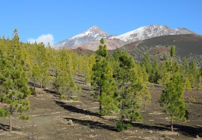Voyage aux Canaries de Nadeige M.