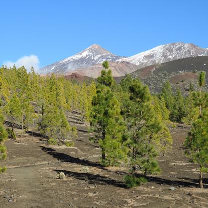 Voyage aux Canaries de Nadeige M.