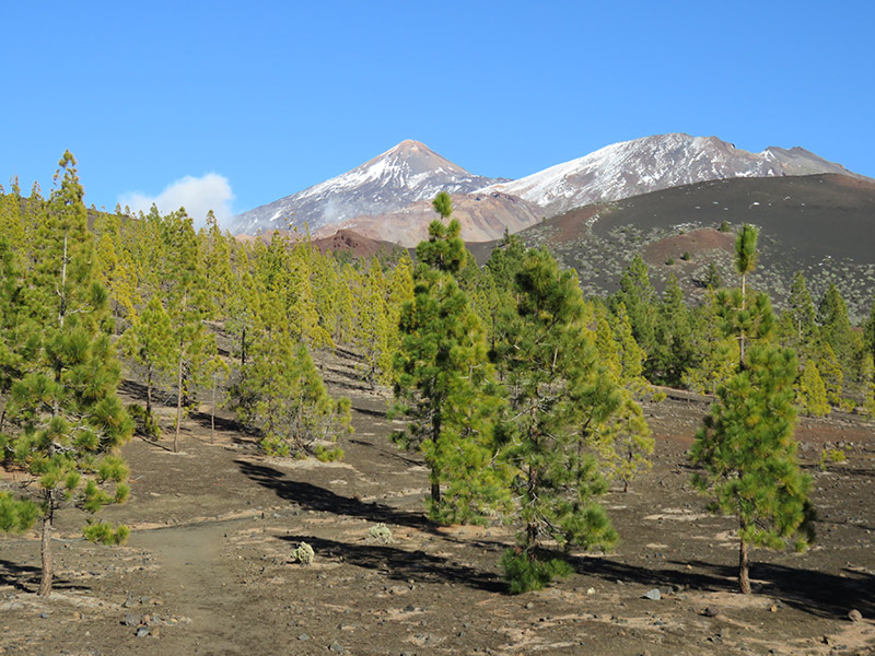 Voyage aux Canaries de Nadeige M.