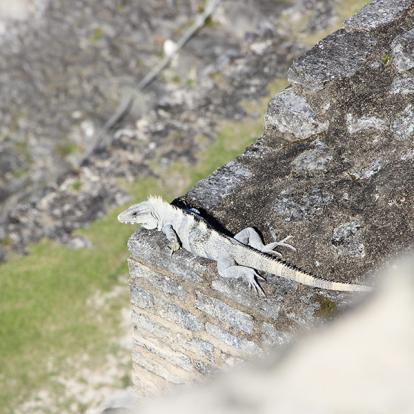 Voyage au Belize et Guatemala de Pierre et Nathalie