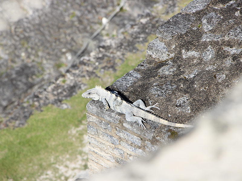 Voyage au Belize et Guatemala de Pierre et Nathalie