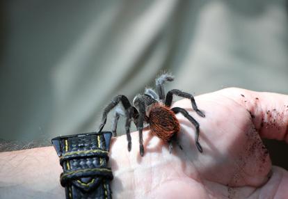 Voyage au Belize et Guatemala de Pierre et Nathalie