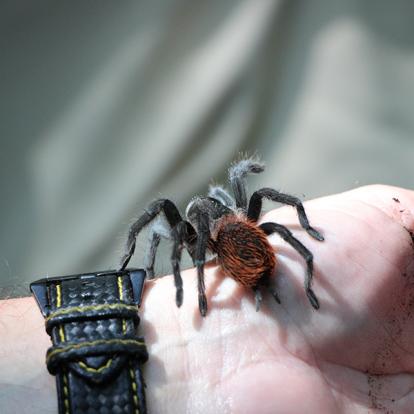 Voyage au Belize et Guatemala de Pierre et Nathalie