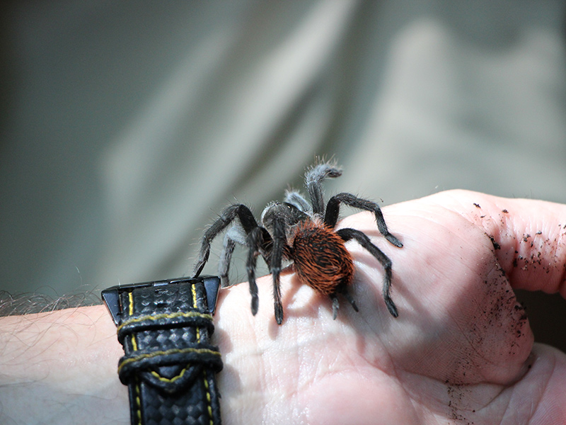 Voyage au Belize et Guatemala de Pierre et Nathalie