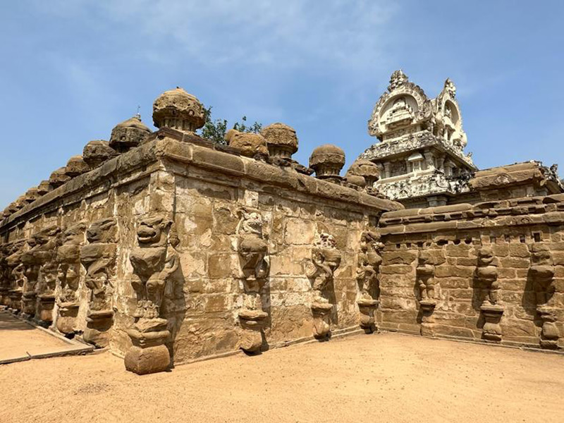 Voyage en Inde de Dominique RB.