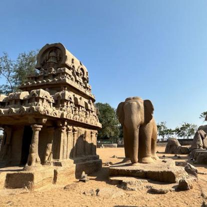 Voyage en Inde de Dominique RB