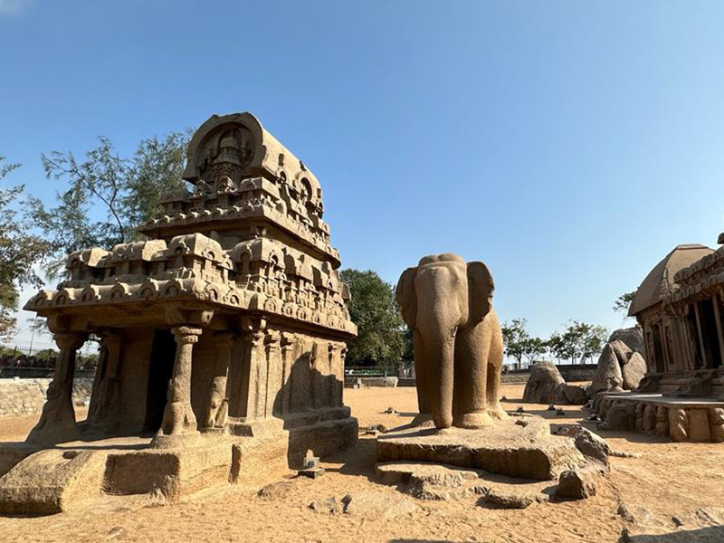 Voyage en Inde de Dominique RB