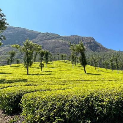 Voyage en Inde de Dominique RB