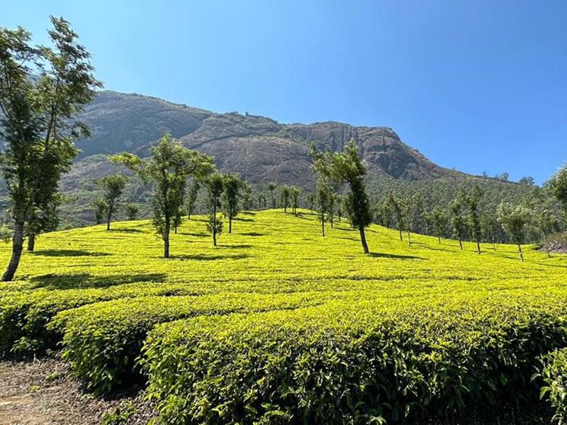 Voyage en Inde de Dominique RB