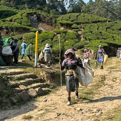 Voyage en Inde de Dominique RB