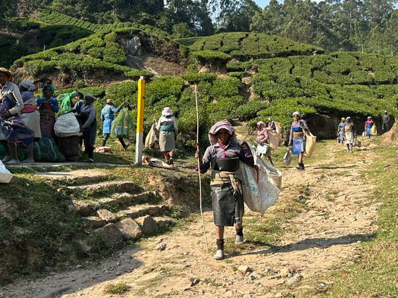 Voyage en Inde de Dominique RB