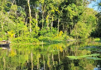Voyage au Guatemala de Roger B.