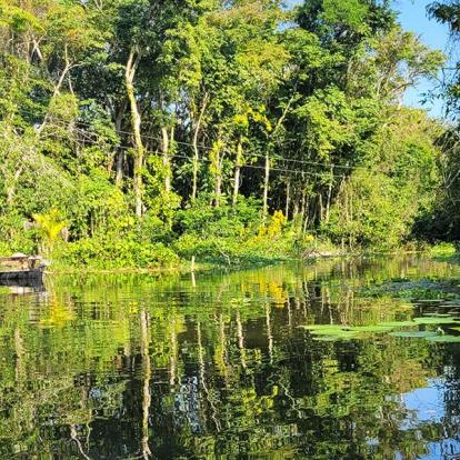 Voyage au Guatemala de Roger B.