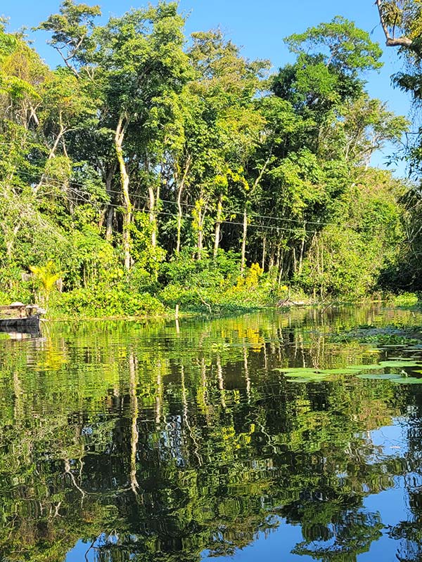 Voyage au Guatemala de Roger B.