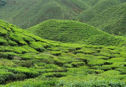 Voyage en Malaisie de Gaëlle D.