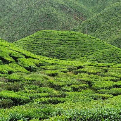 Voyage en Malaisie de Gaëlle D.