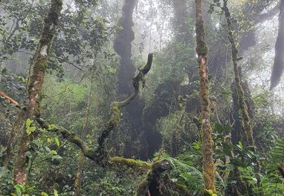 Voyage en Malaisie de Gaëlle D.