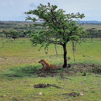 Voyage au Kenya de Sybill L.
