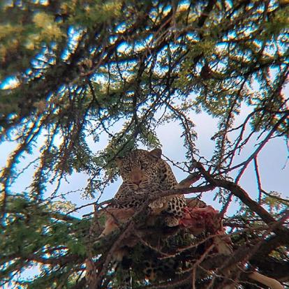 Voyage au Kenya de Sybill L.