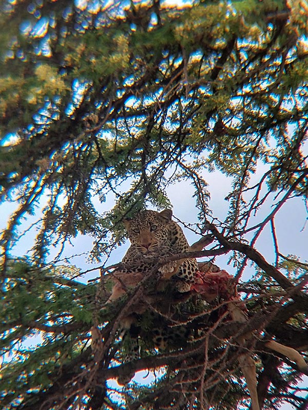 Voyage au Kenya de Sybill L.