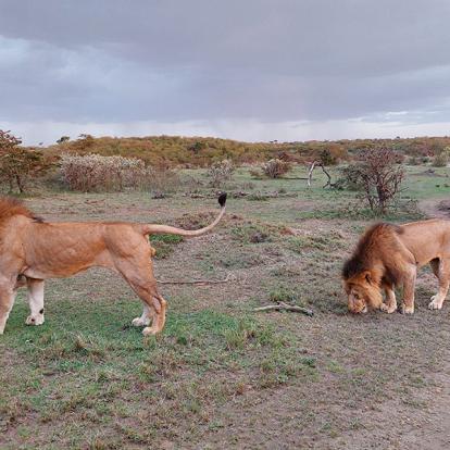 Voyage au Kenya de Sybill L.