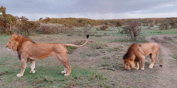 Voyage au Kenya de Sybill L.