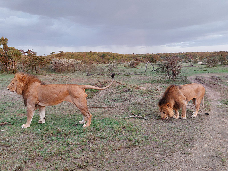 Voyage au Kenya de Sybill L.