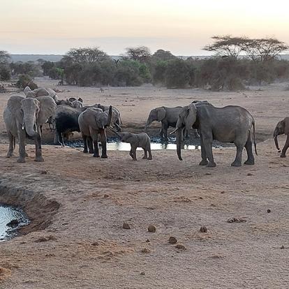 Voyage au Kenya de Sybill L.